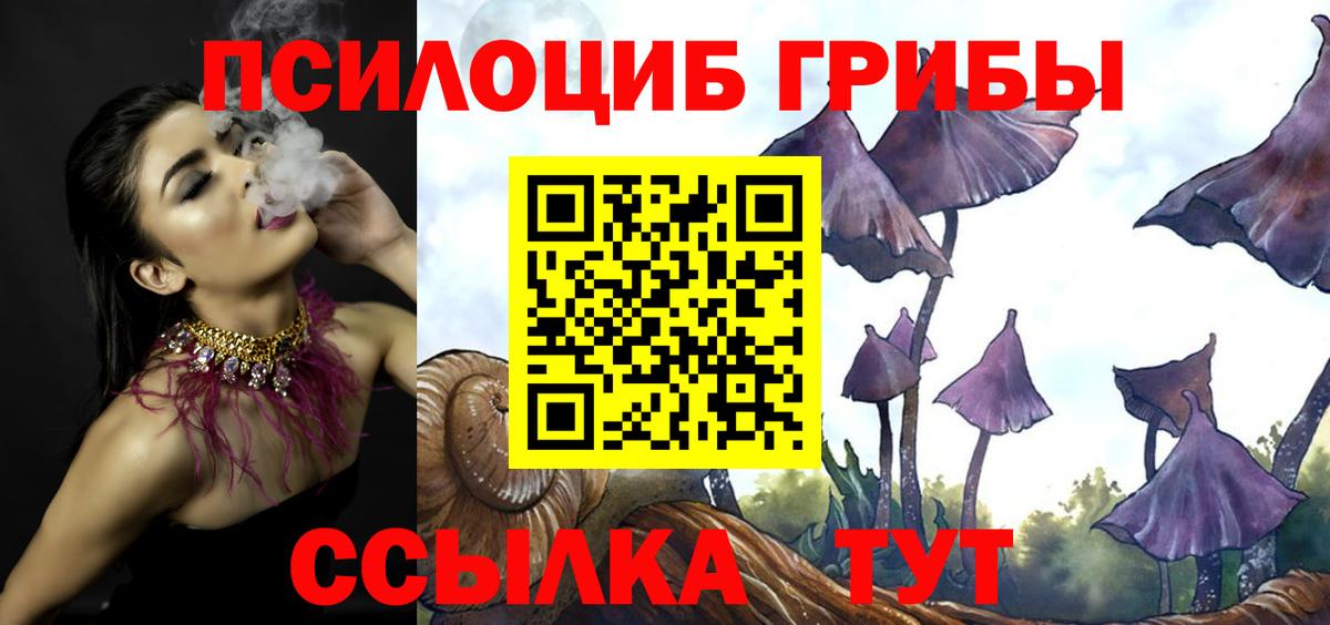 Псилоцибиновые грибы мицелий Альметьевск