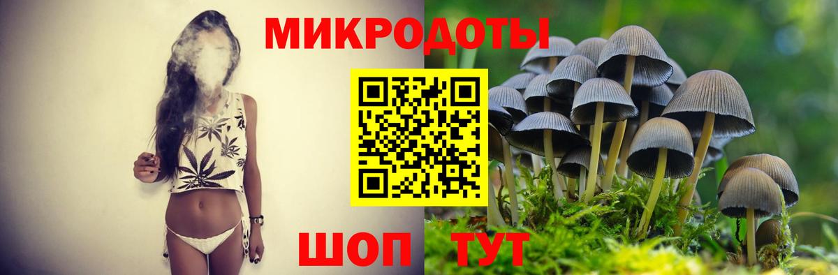 Альметьевск  Псилоцибиновые грибы Psilocybine cubensis  Вход с VPN 